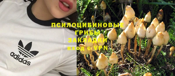 твердый Балабаново