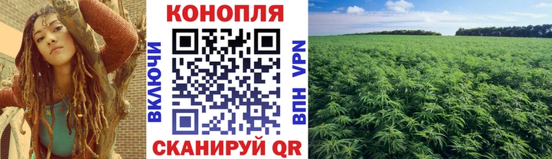 как найти закладки  MEGA ССЫЛКА  Конопля THC 21%  Черногорск 